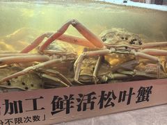 -丰卓会海鲜自助(中润大道店)