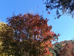 -香山公园