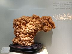 -长沙富力万达文华酒店