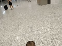 -广州白云国际机场-T2航站楼