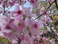 -广州市白云山风景名胜区