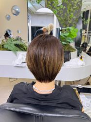 -BEAUTY HAIR GANO
