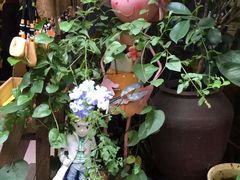 -懒鱼时光馆(沙坪坝店)