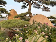 -罗红摄影艺术馆