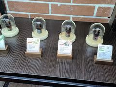 -泰合玺·精油疗愈SPA(虹悦城店)
