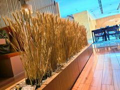 -西村日本料理(香格里拉饭店)