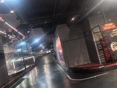 -魔赛卡丁车赛车汇(上海店)