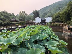 -荷塘味道(水长城店)