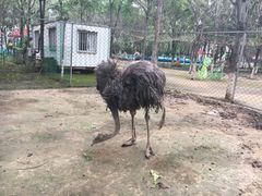 -草根堂农场