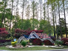 -徐家汇源景区-衡山公园