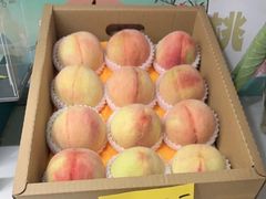 -老袁家蜜桃农场·阳山水蜜桃