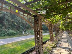-北京张裕爱斐堡酒庄