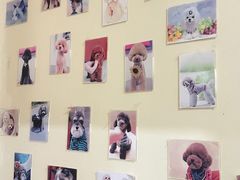 -艾贝尔宠物医院 ·内科全科(梁溪路店)