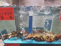 波斯顿龙虾-海皇世家海鲜火锅(瑞安店)