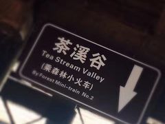 景点-东部华侨城