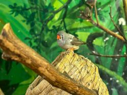 -Zoolung Zoolung动物主题公园(海信广场店)