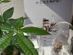 -莲花国际广场