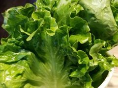 -本家·小顽牛自助烤肉(金润路店)