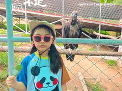 -西霞口神雕山野生动物世界