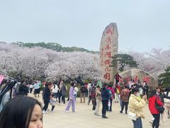 -堤角公园