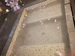 -春晖园度假酒店温泉