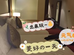 -普陀山雷迪森庄园