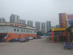 -翔龙双鱼篮球馆