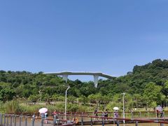 -飞凤山奥体公园