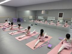 -蒲公英舞蹈艺术中心(促进路校区)