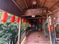 -鲤鱼塘农家山庄