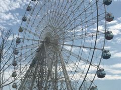 -琴岛之星摩天轮