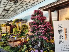 -杭州植物园