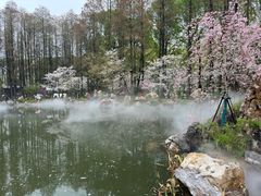 -东湖磨山景区