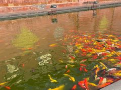 -简奥斯汀·赫本酒吧