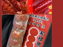 -和禄德冰糖葫芦