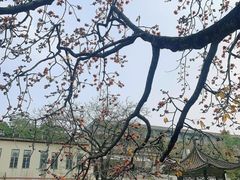 -黄埔古港