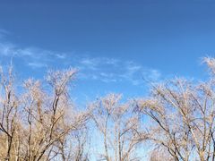 -月亮湾湿地公园