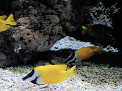 -洛阳龙门海洋馆