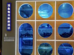 -鱼酷活鱼烤鱼(江宁金鹰店)