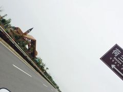 -荷兰花海