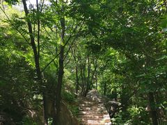 -大岭沟猕猴桃谷风景区