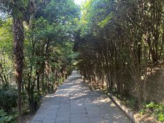-武当山风景区-太子坡