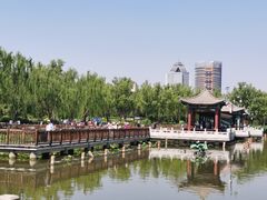-莲花池公园