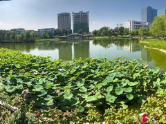 -西海子公园