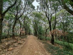 -虞山风景区