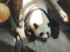 -宁波野生动物园