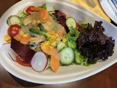 什锦蔬菜沙拉-申德勒加油站餐厅(三里屯北小街店)