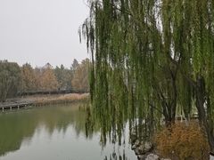 -大兴滨河森林公园