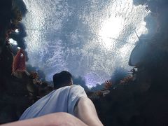 -南昌融创海世界