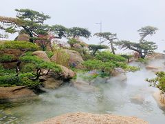 -罗红摄影艺术馆